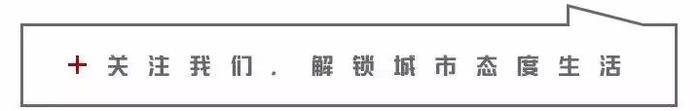 没文化，千万别和重庆人吵架