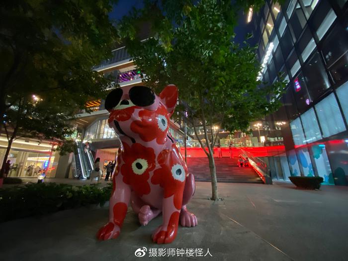 iPhone 11系列影像评测