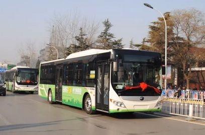 30台中国红豪华版金龙公交车穿过保定主城区，保定市民有福啦