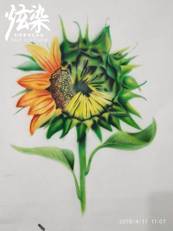 杰哥喷笔彩绘模板直喷绘画-学员花卉练习（炫染彩绘堂出品）