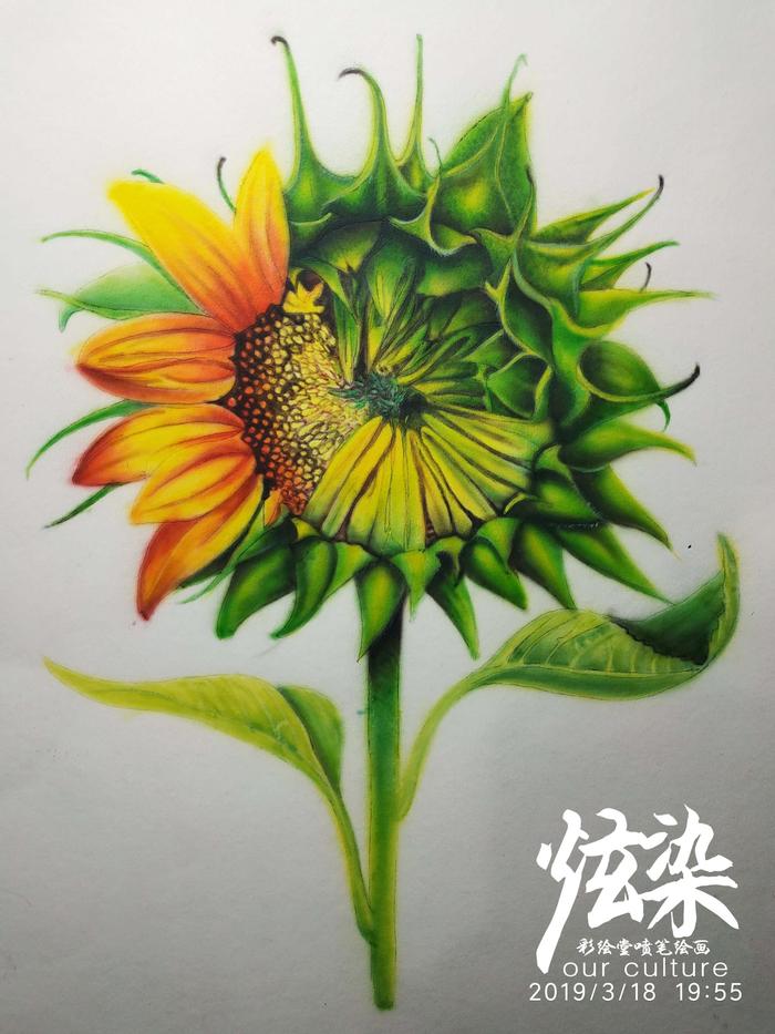 杰哥喷笔彩绘模板直喷绘画-学员花卉练习（炫染彩绘堂出品）