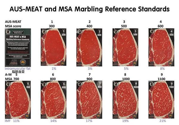 牛肉等级划分标准详解,原来A5和牛并非最好!!