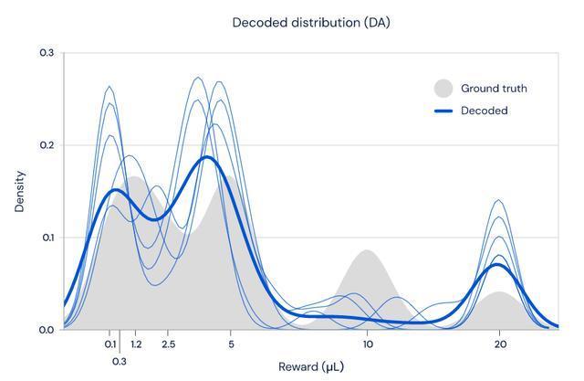 大脑也在用分布式强化学习？DeepMind新研究登上《Nature》