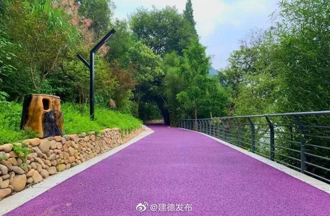 今天，1100余人成功打卡网红“紫薯绿道”