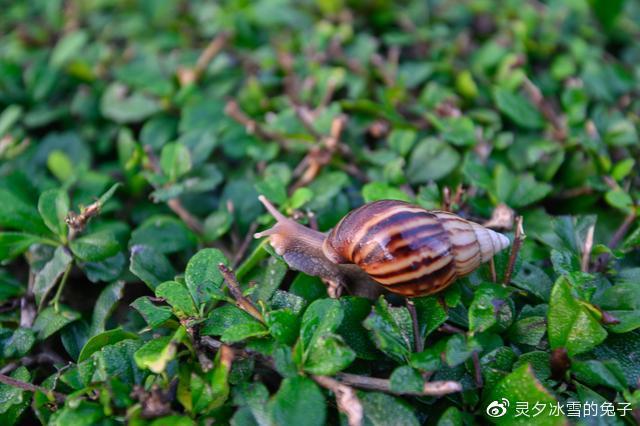 冬季去泰国，不去游客景点，不玩水上项目一样很有趣