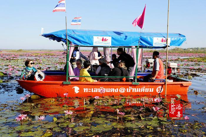 【老挝泰国旅行】新年第一场旅行——老挝泰美奇境之旅