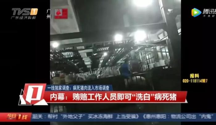 广东一正规肉联厂“洗白”病死猪：19人被抓 涉事企业已停业整顿