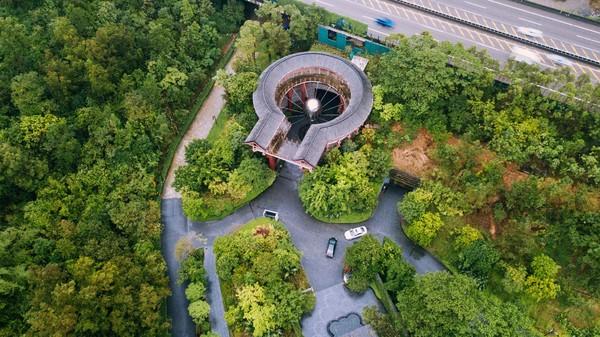 惠州踏春之旅，中海汤泉度假酒店深度体验