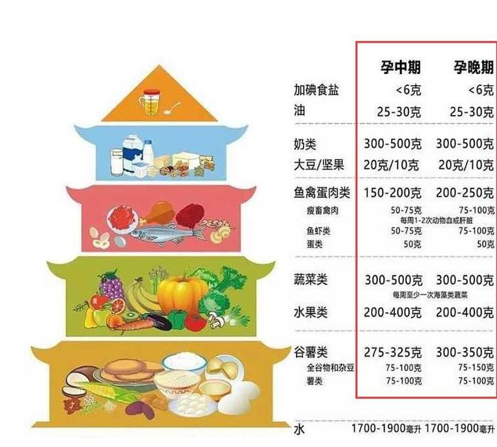 孕期饮食需要注意什么？三时期饮食建议不同，孕妈咪也得“忌口”