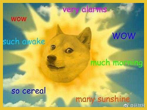 doge已经13岁了