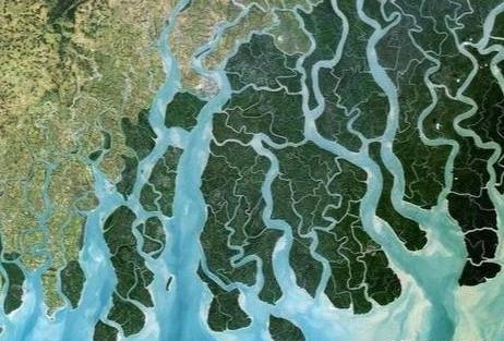 世界第二大河是刚果河还是长江？其实这条还没名字的河流水量更大