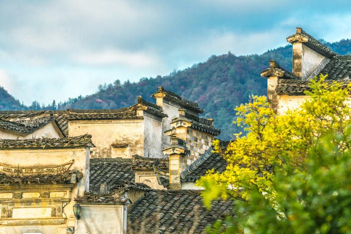 中国最美古村落：桃花源里人家，黄山脚下的世界文化遗产