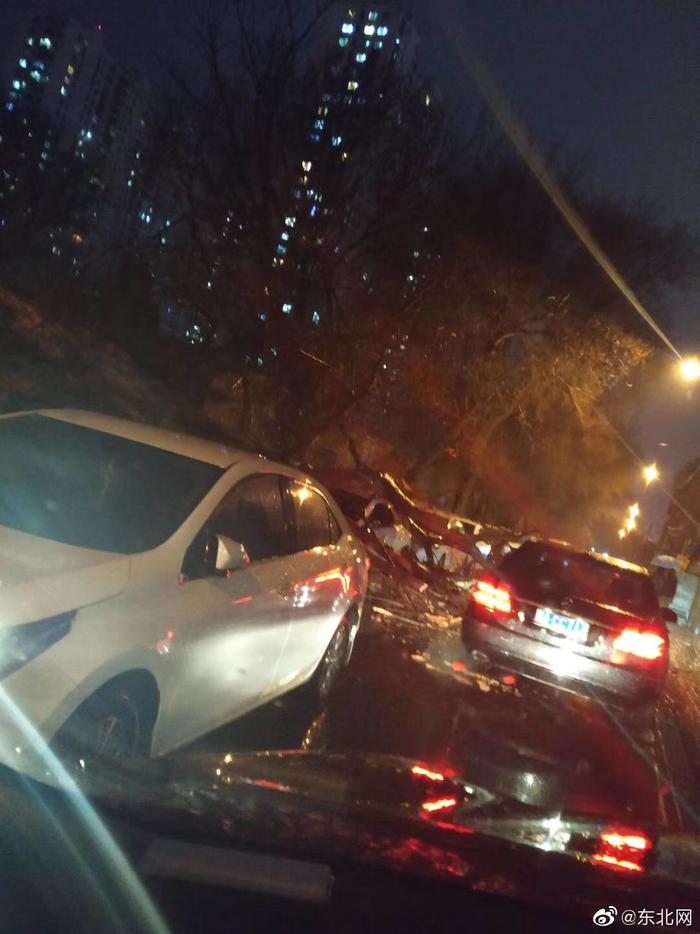 突发！哈尔滨新境街上一棵大树砸到轿车