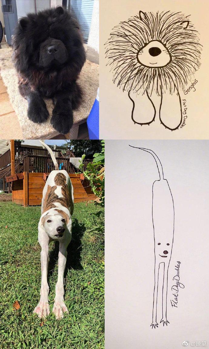 国外一位狗主人po出自己随便画的怪异狗子涂鸦，没想到竟然意外走红