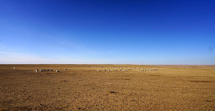 草原牧民比家里有矿厉害！4000公里，冬季独行穿越大兴安岭（三）