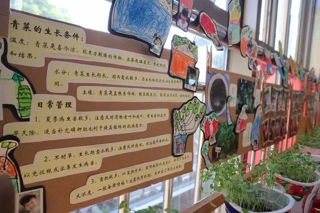 陈鹤琴创办的“传说级”幼儿园，96年后变成了什么样