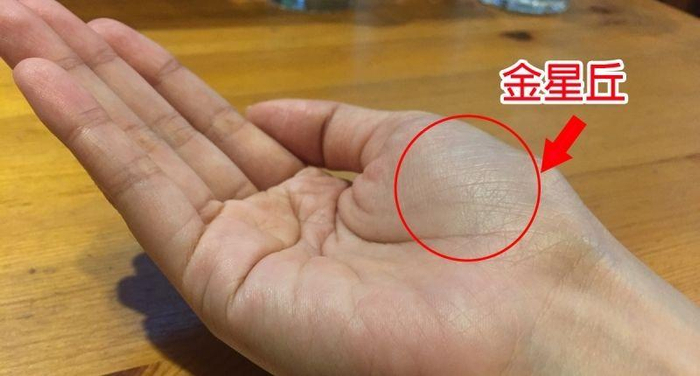 手相中的八个隆起的部位被称为“八大丘”，分别代表什么含义呢？