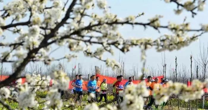 十万亩梨花海等你尽情奔跑，相约邢台威县，寻找最美的春天打开方式！