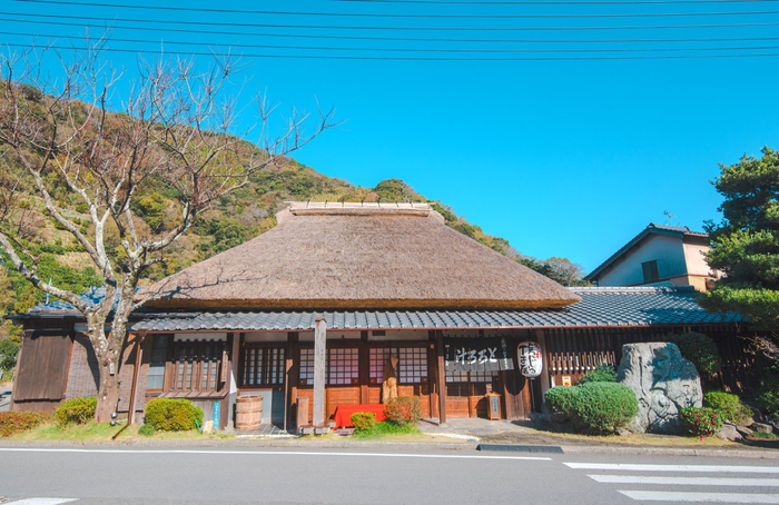 带上周游券来静冈、富士山吧,满足你所有对于日本的想象