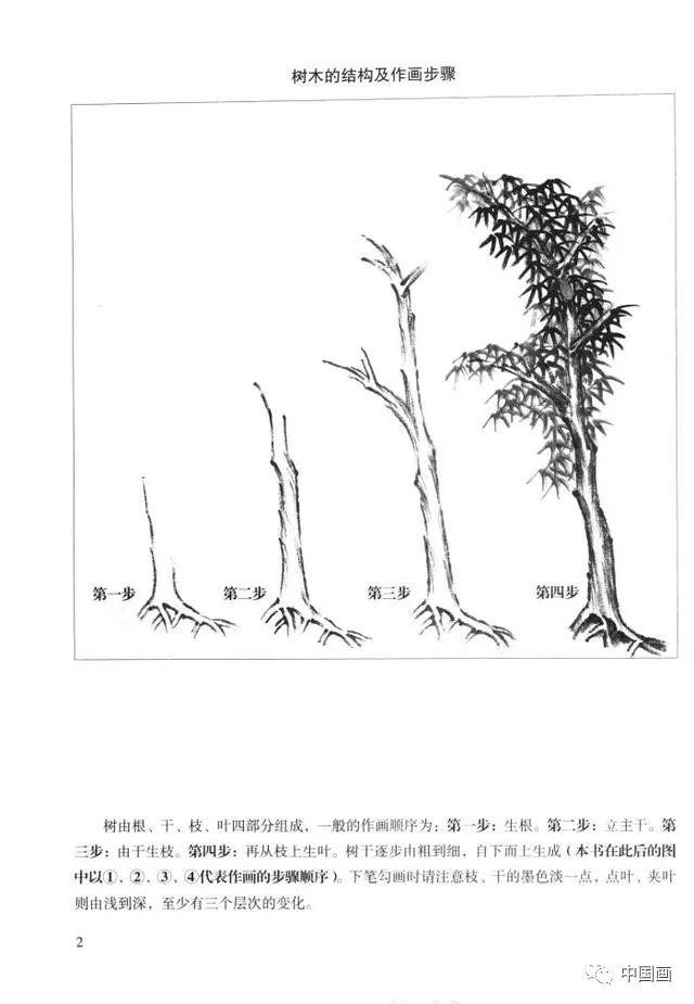 中国画画法教程之怎样画杂树，树木的结构及作画步骤详解