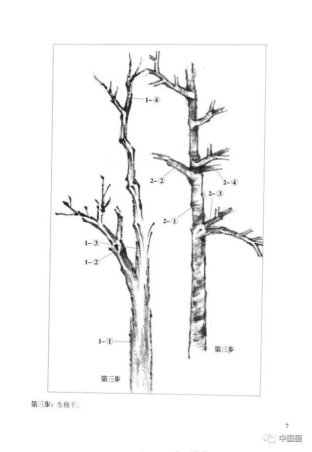 中国画画法教程之怎样画杂树，树木的结构及作画步骤详解