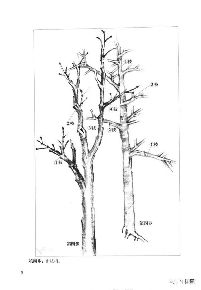 中国画画法教程之怎样画杂树，树木的结构及作画步骤详解
