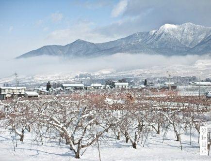 穿过县界长长的隧道，便是雪国