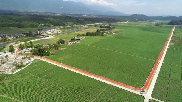 7月28日，腾冲最美花海赛道等您来战！