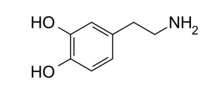 玩手机如何影响你体内的多巴胺和皮质醇