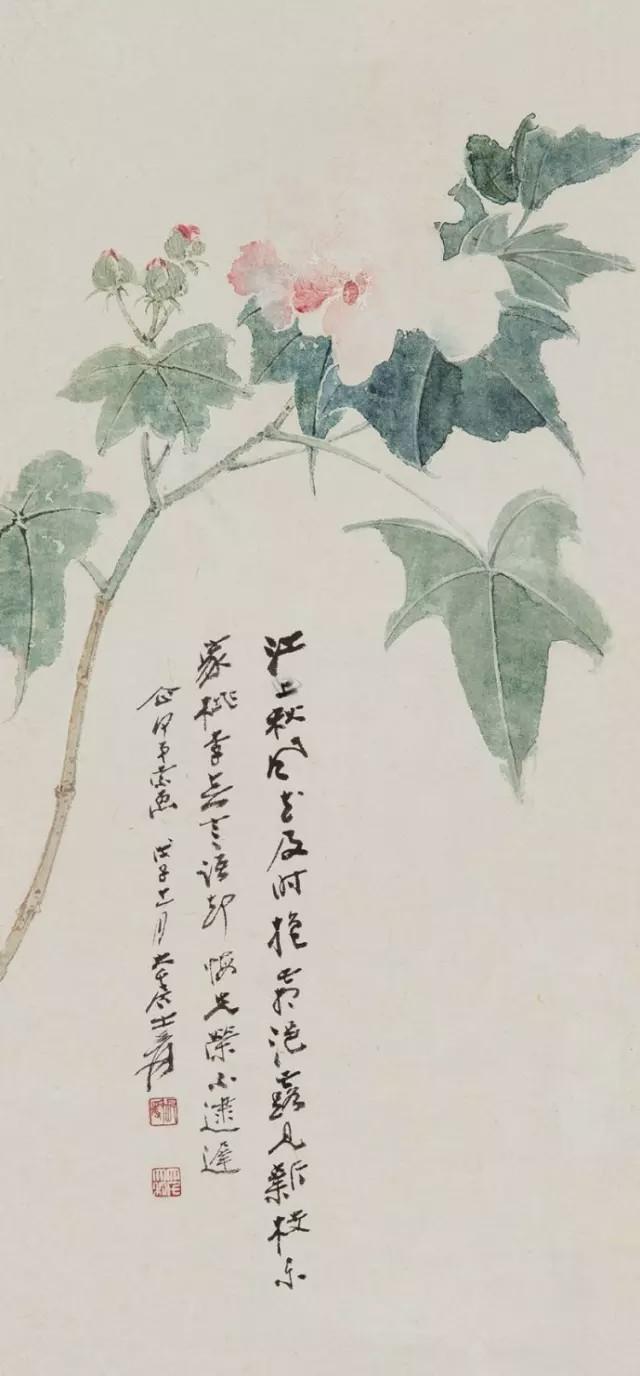 大师笔下的芙蓉花，似美人初醉！