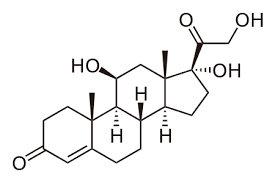 玩手机如何影响你体内的多巴胺和皮质醇