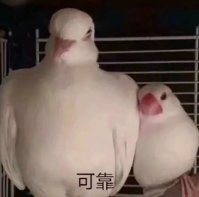 818 Round.1//吃完热狗吃玉米,小iGS8冠军皮肤24日正式上线!