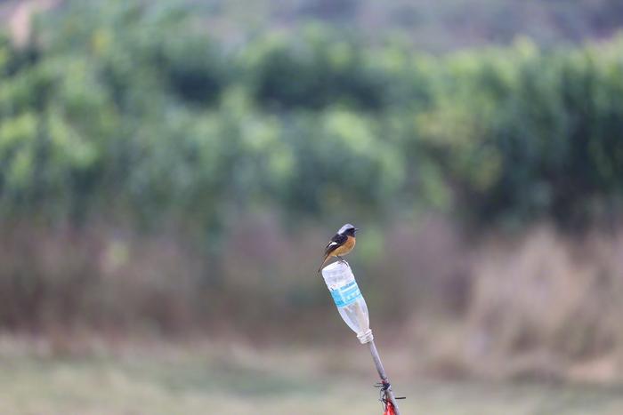 微单绝配天生一对 EOS R 与RF70-200 彰显实力，旅拍达人器材分享