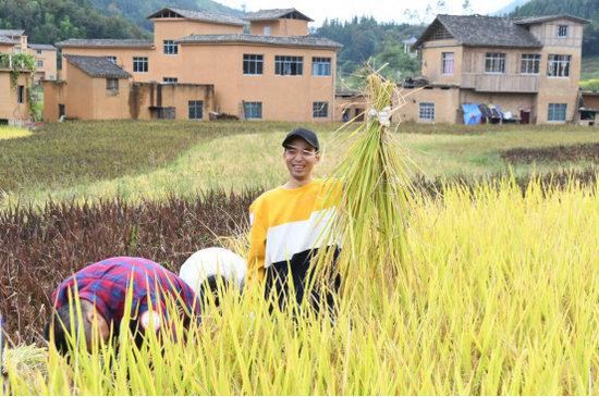 探访贵州黔西南五彩稻米之乡，五彩稻田美如画，村民喜迎大丰收