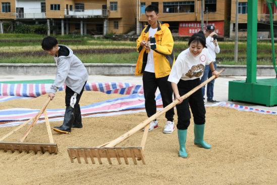 探访贵州黔西南五彩稻米之乡，五彩稻田美如画，村民喜迎大丰收