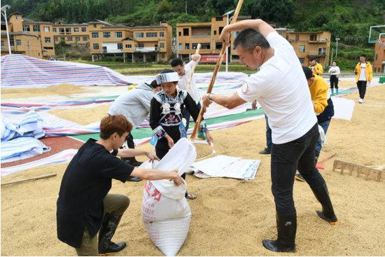 探访贵州黔西南五彩稻米之乡，五彩稻田美如画，村民喜迎大丰收