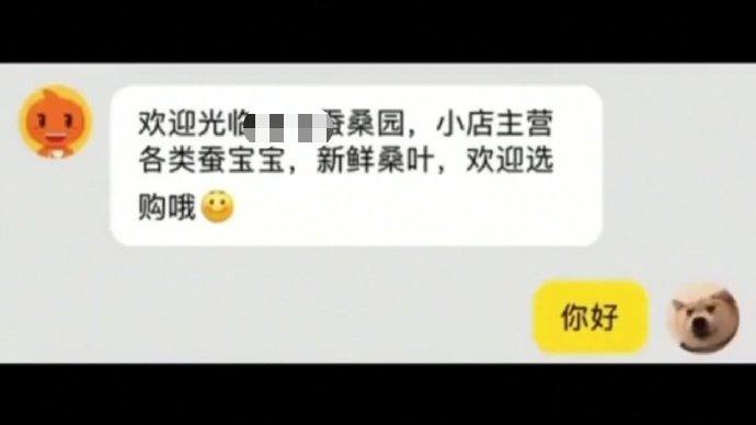 囧哥:尴尬了！ 数学老师上网课被家人打断后“抓狂”