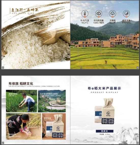 探访贵州黔西南五彩稻米之乡，五彩稻田美如画，村民喜迎大丰收