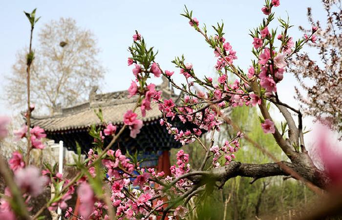 人间最美四月天 漫游环山线游福地楼观