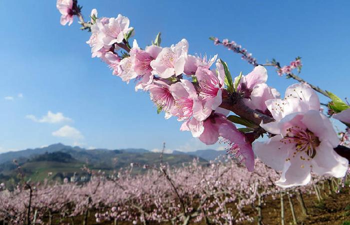 人间最美四月天 漫游环山线游福地楼观