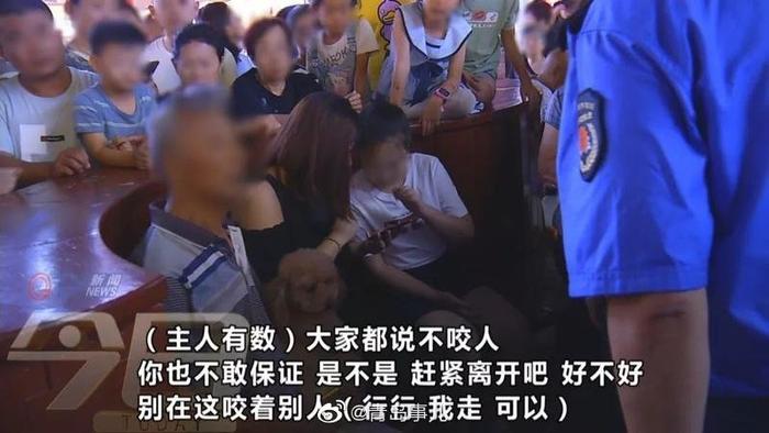 夜查台东，一堆遛狗不拴绳的！还是那个理由：它不咬人