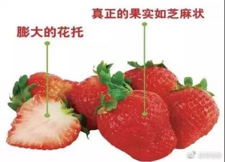 草莓上的小点点是什么？吃多了会中毒么？要不要扣掉呢？