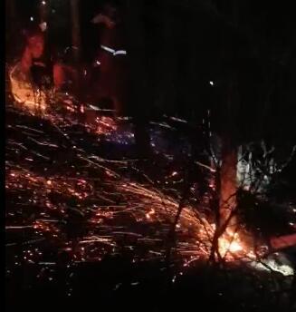 内蒙古阿尔山发生森林火灾，140余名消防队员抵达火场扑救