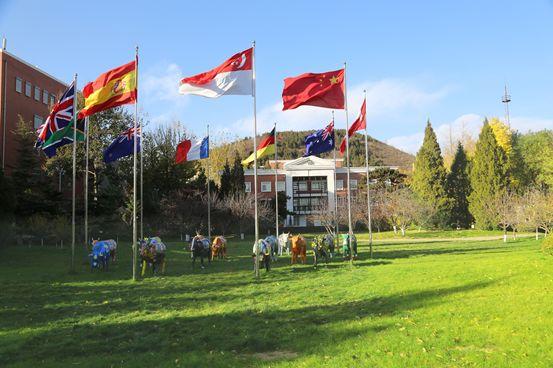 择校直通车丨北京市私立汇佳学校​向您发来邀请！