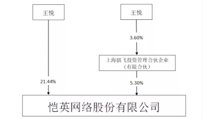 图片来源:恺英网络2018年报