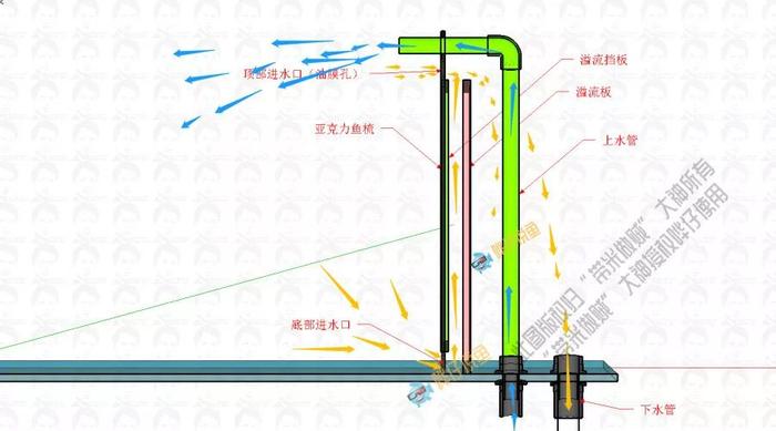 养鱼科普