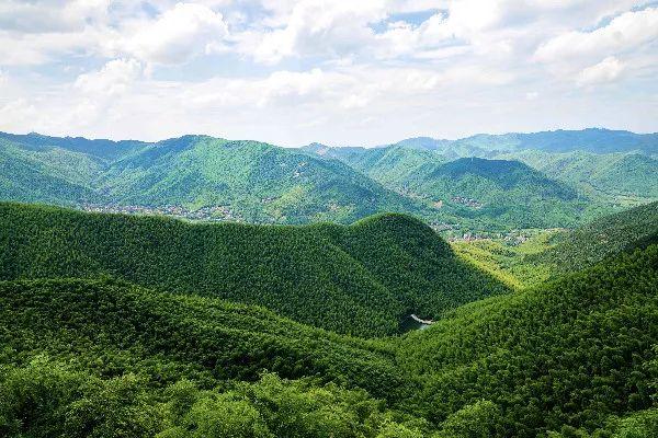 跟着青春环游记和花筑，开启杭州文化之旅