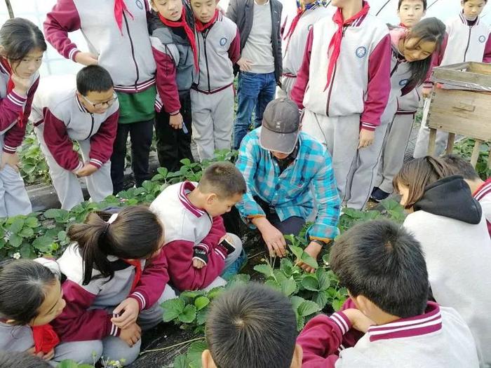 蝶变！牵手多所名校，迈燕新城最新优质初中版图来了