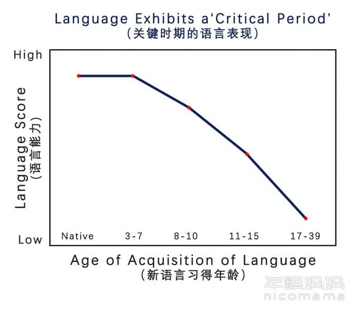 5岁孩子能读英文原版书，全靠妈妈从小这么做