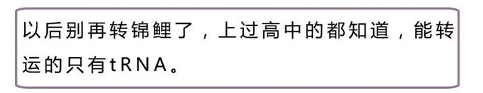 据说这些段子，只有学霸才能看懂